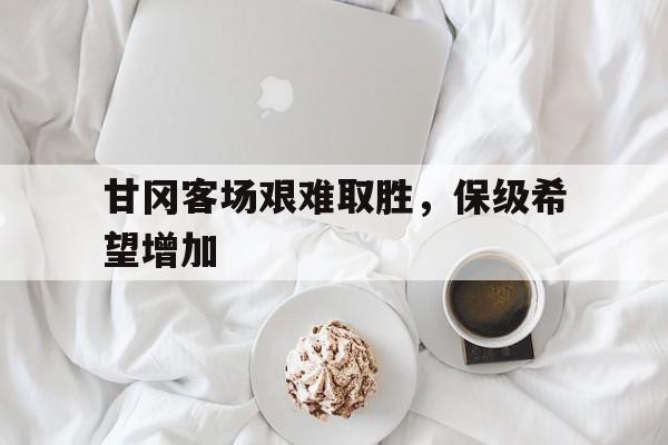 关于甘冈客场艰难取胜，保级希望增加的信息